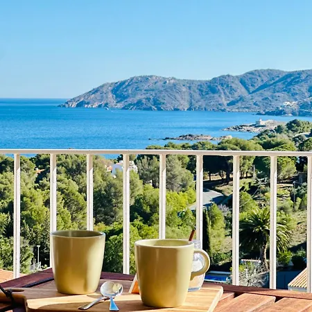Con Vistas *